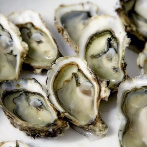 FreshChesapeakeBayOysters.jpg Fresh Chesapeake Bay Oysters