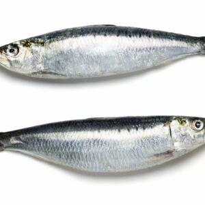 PacificSardinesTypeWhole-1-scaled-1.jpg Pacific Sardines (Type: Whole)